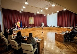 Los concejales de Logroño, durante la sesión extraordinaria para debatir el proyecto de Ordenanzas.