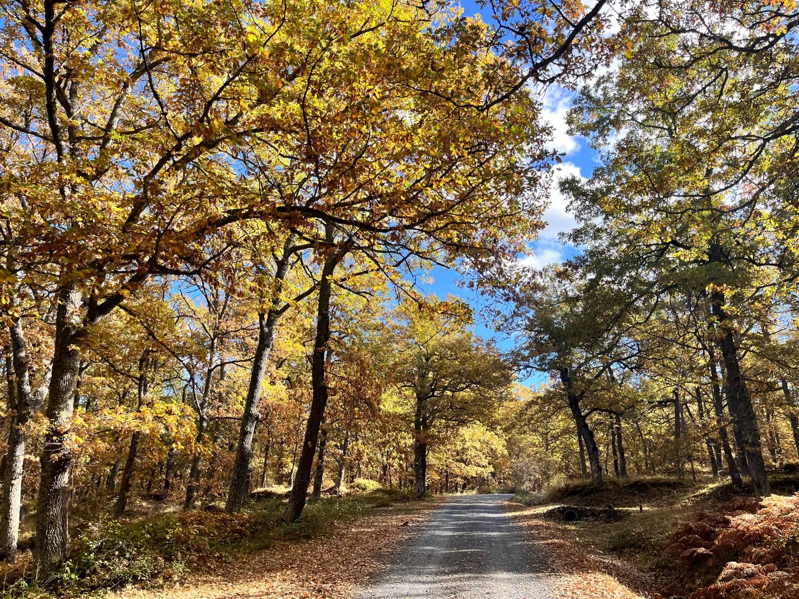 El otoño transforma los paisajes riojanos