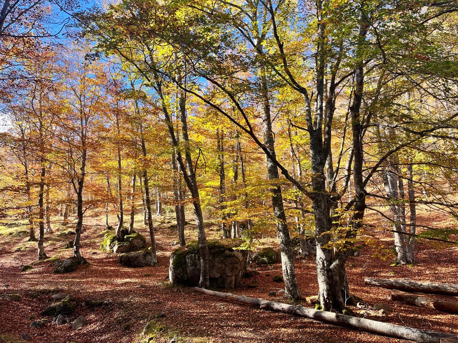El otoño transforma los paisajes riojanos