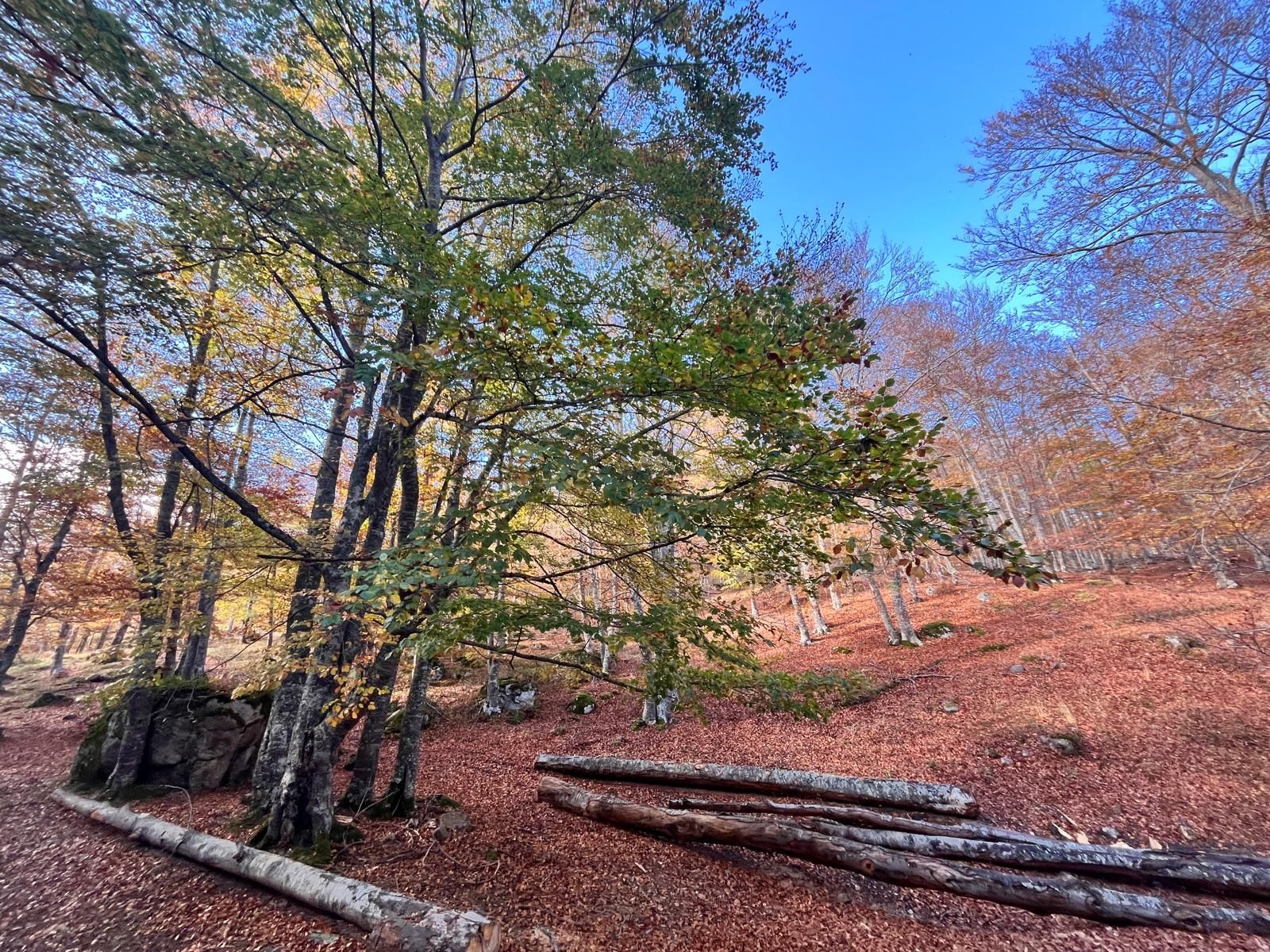 El otoño transforma los paisajes riojanos