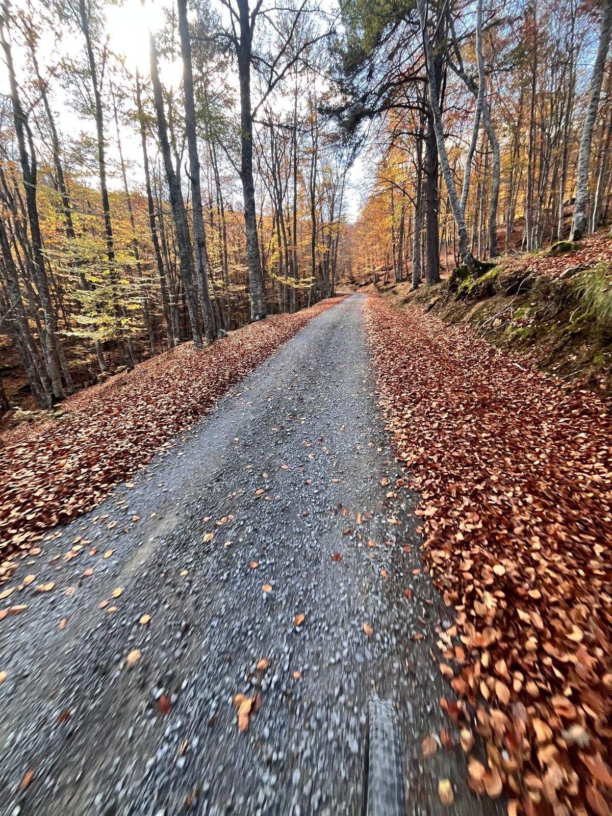 El otoño transforma los paisajes riojanos