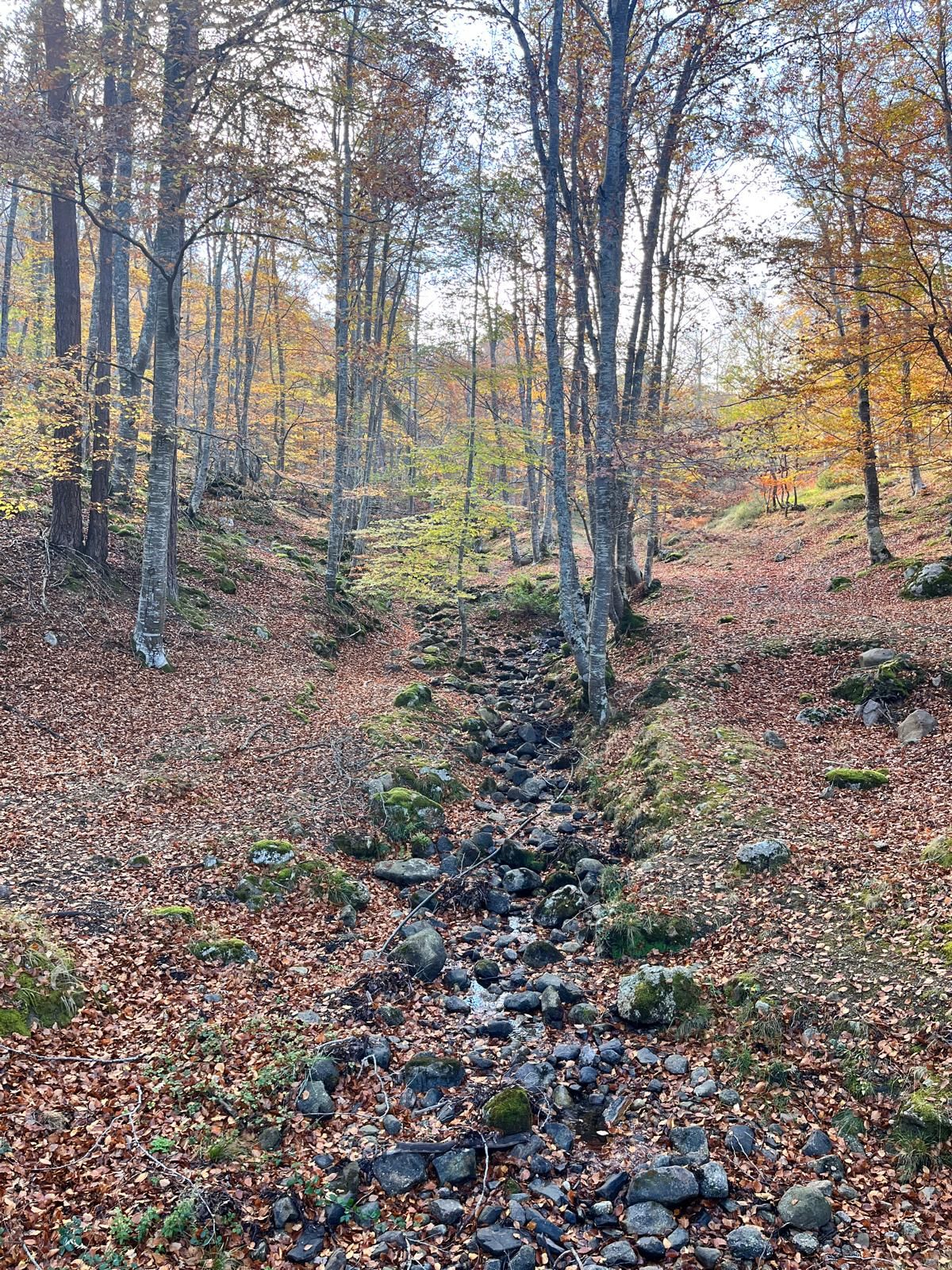 El otoño transforma los paisajes riojanos