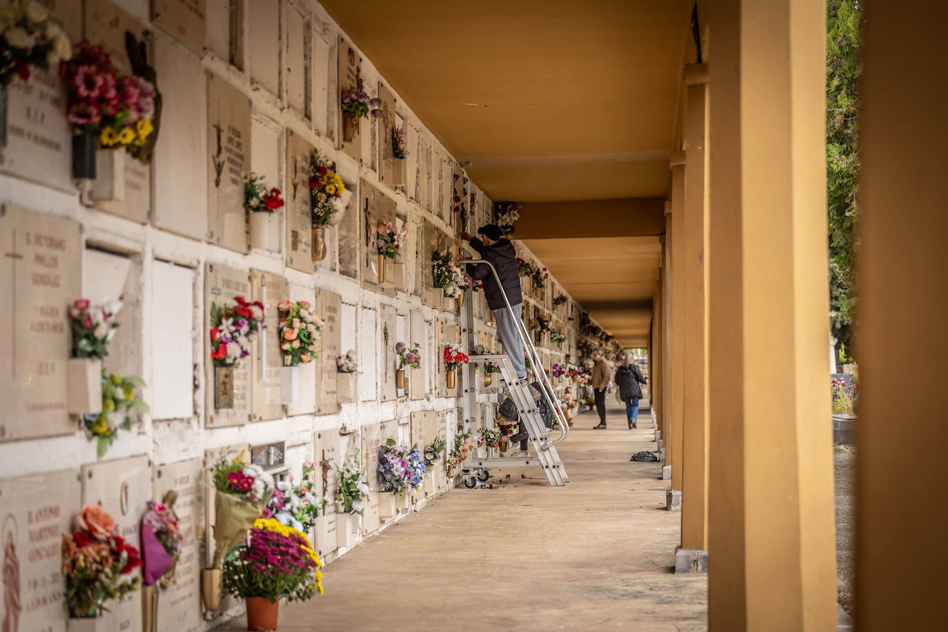 Cementerio de Logroño