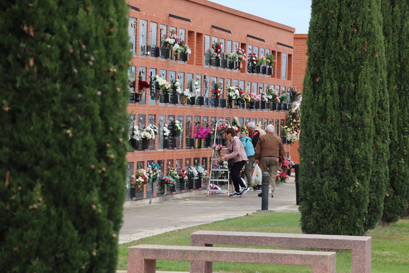 Cementerio de Alfaro.