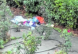 Autobuses, médicos y agradecimientos en el Teléfono del Lector de hoy