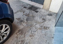 Las listas de espera, en el Teléfono del Lector de hoy