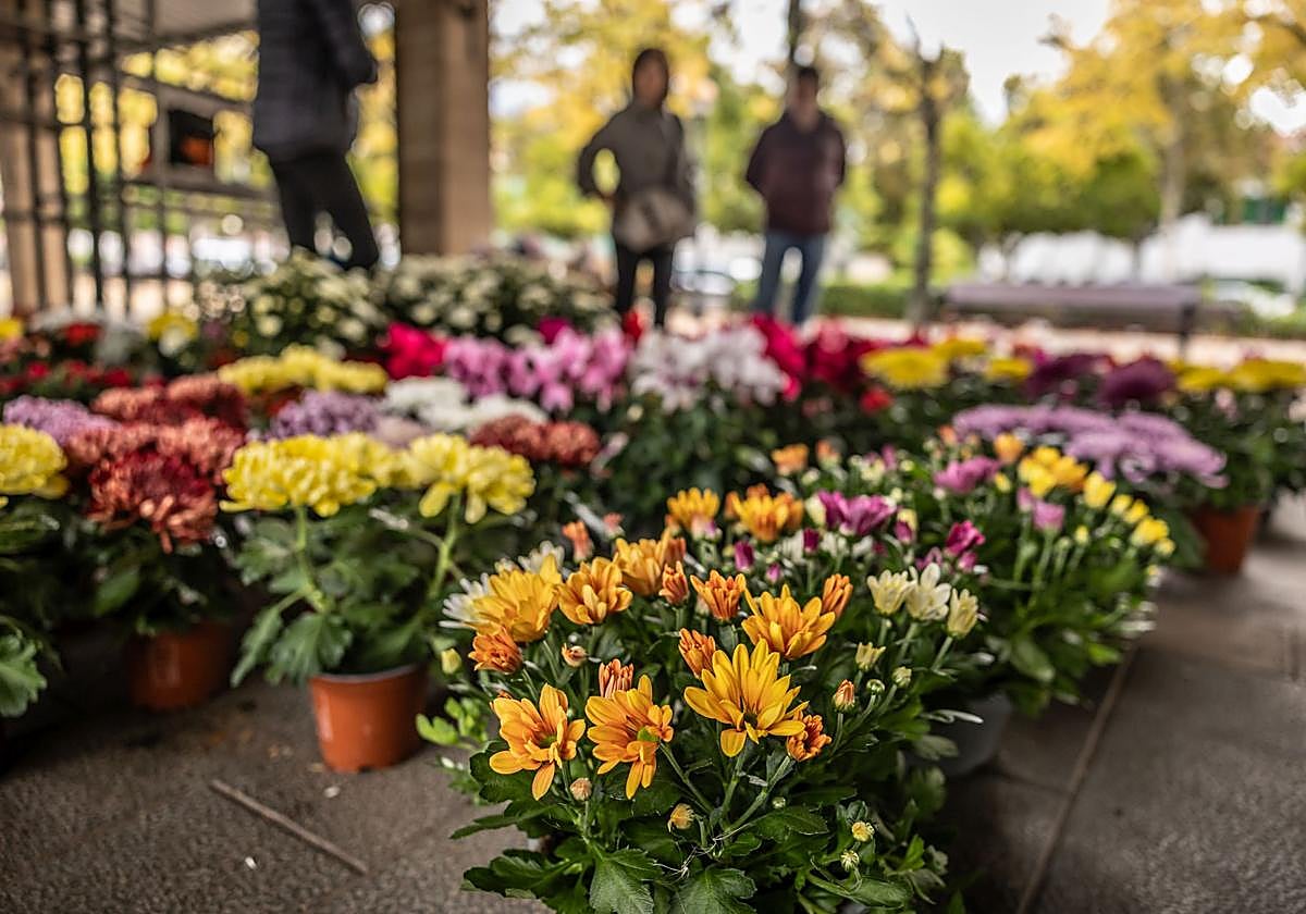 Los logroñeses visitan el tradicional mercado de las flores