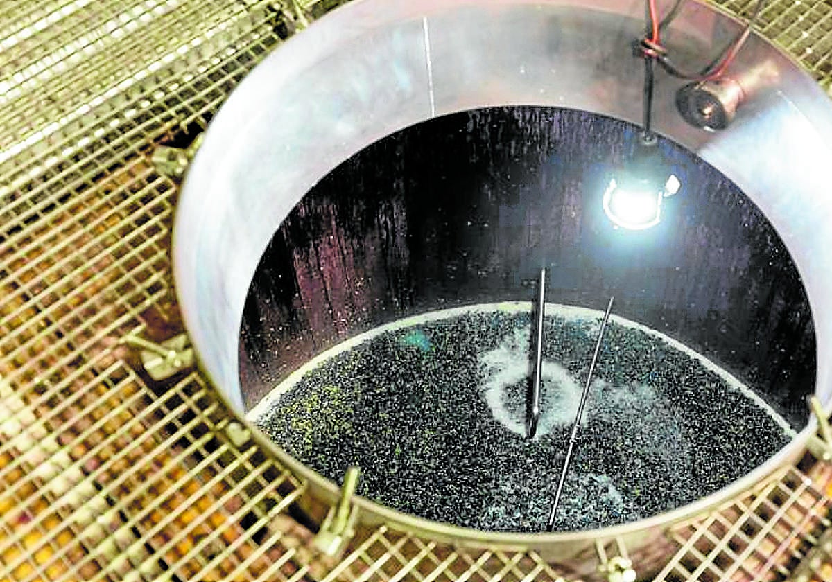 Depósito de uvas en la fase de fermentación.
