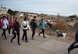 Varias participantes en la marcha contra el cáncer de ayer en Aldeanueva de Ebro.