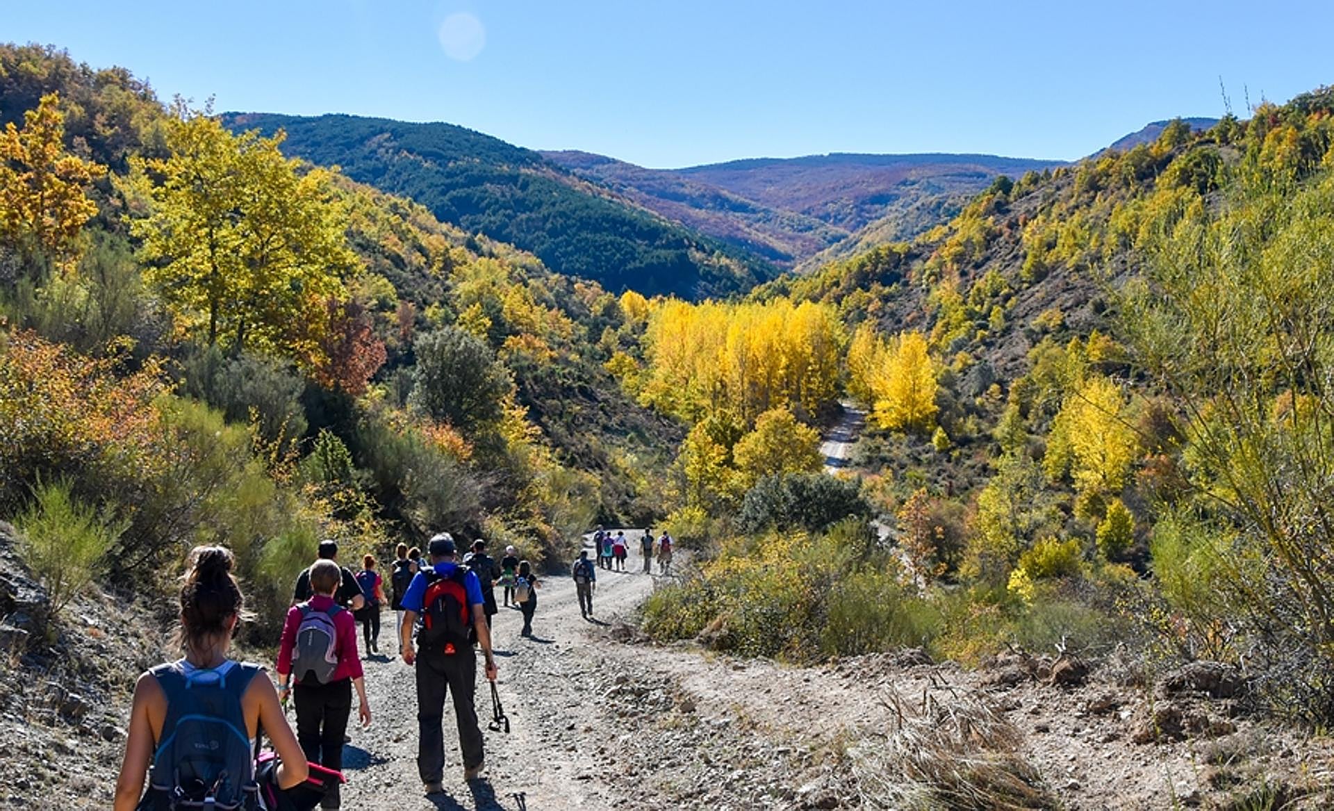 Scroll Story imagen 0