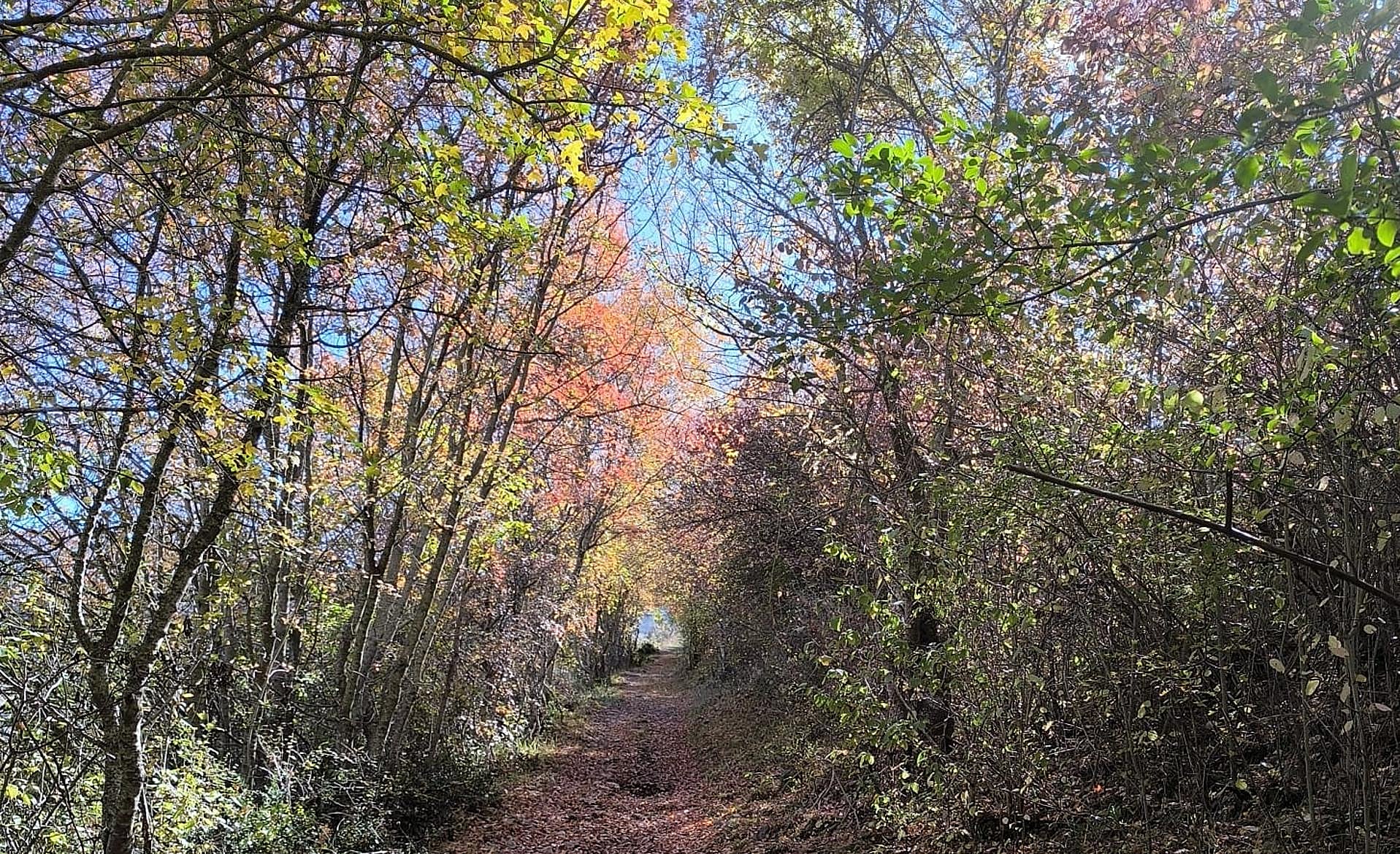 Scroll Story imagen 4