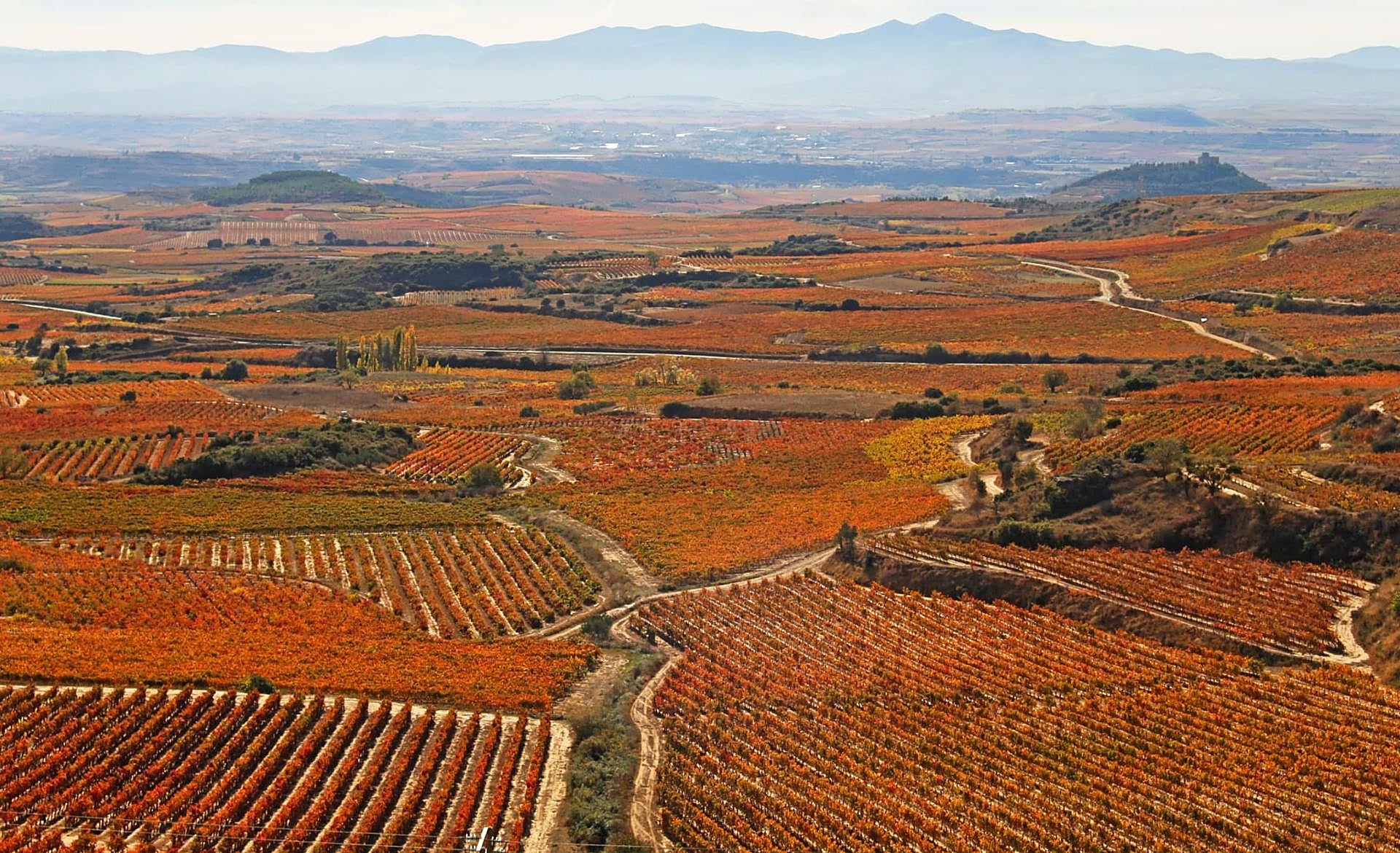 Scroll Story imagen 5