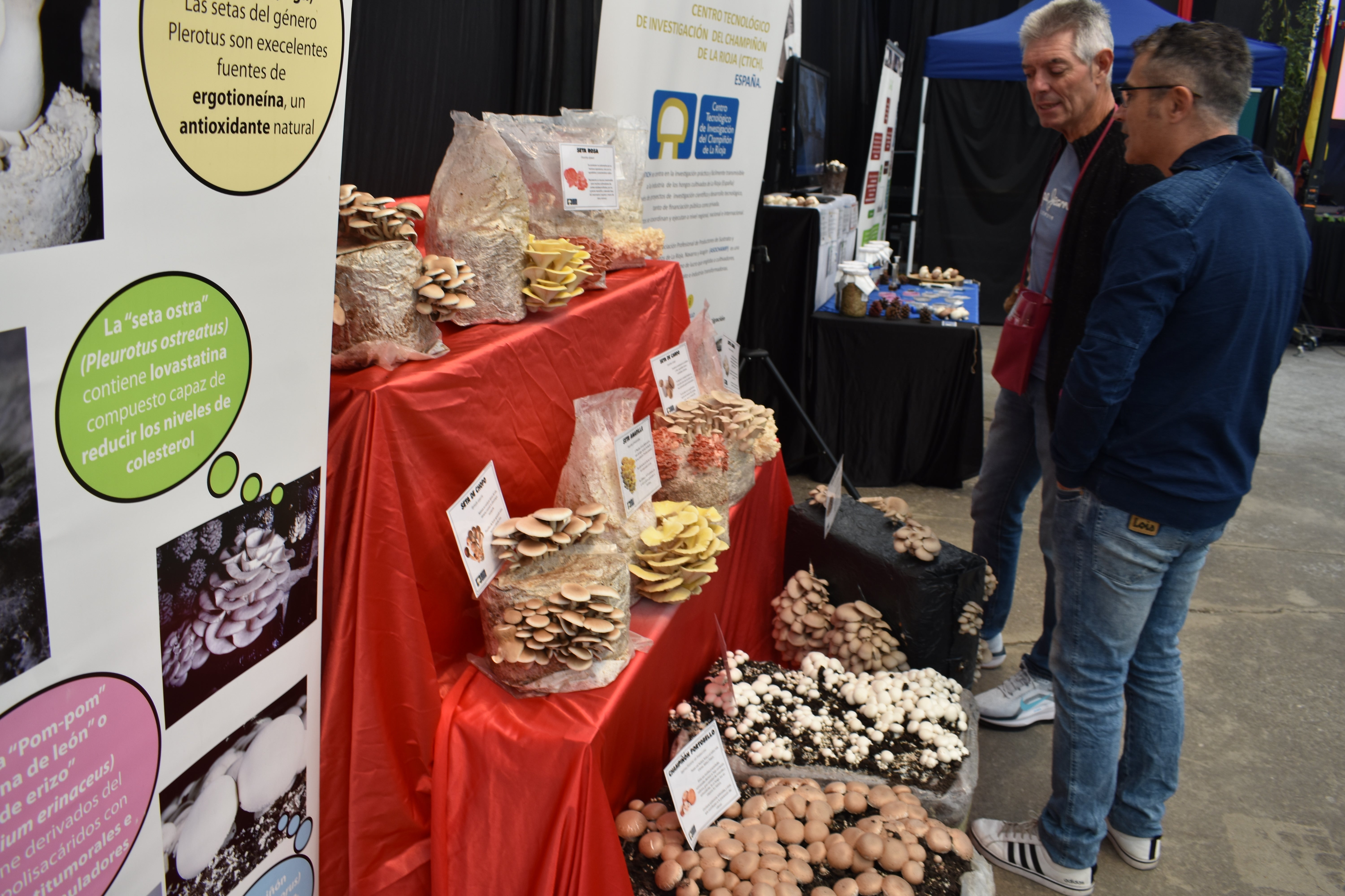 Jornadas de la seta y el champiñón de Autol