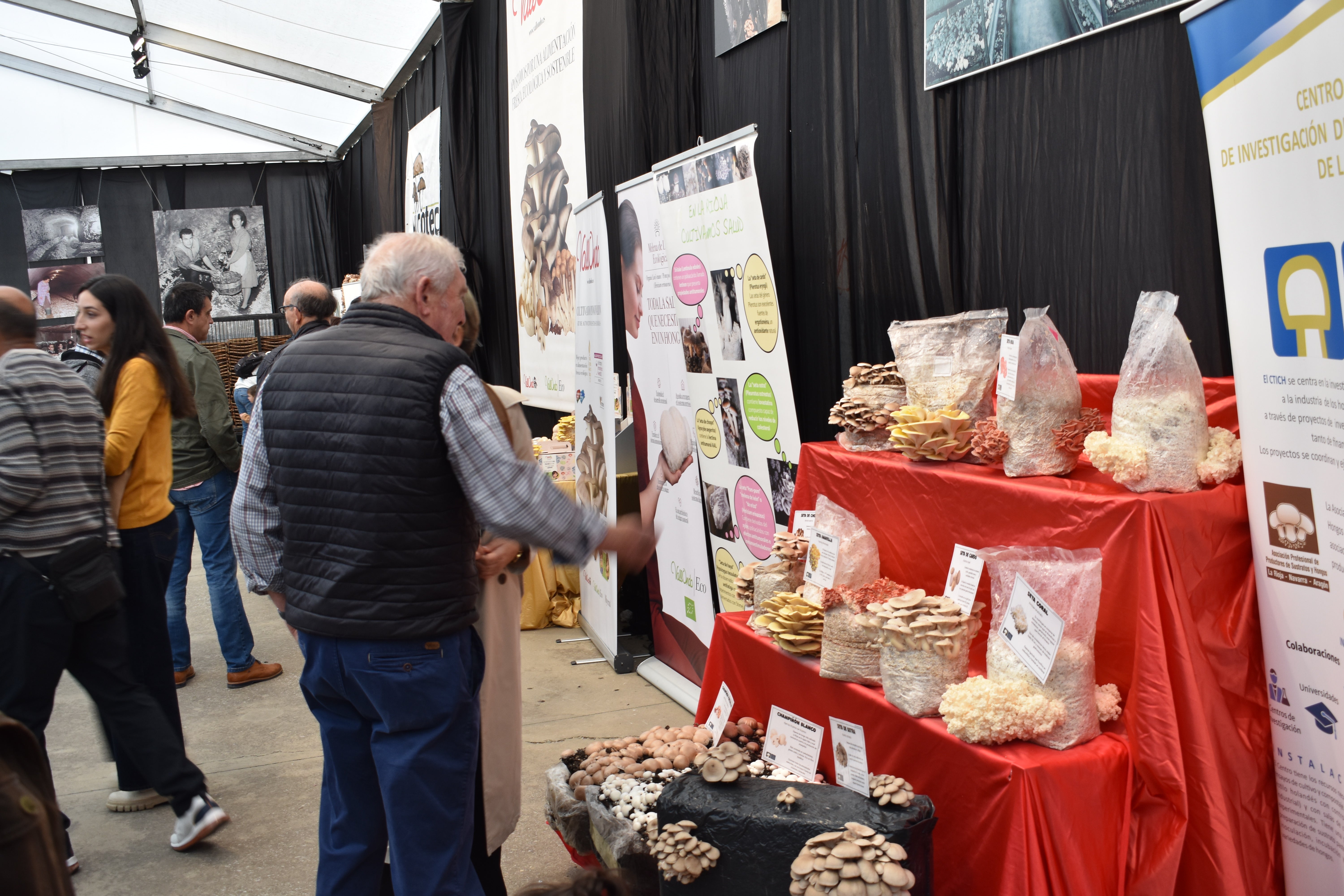 Jornadas de la seta y el champiñón de Autol