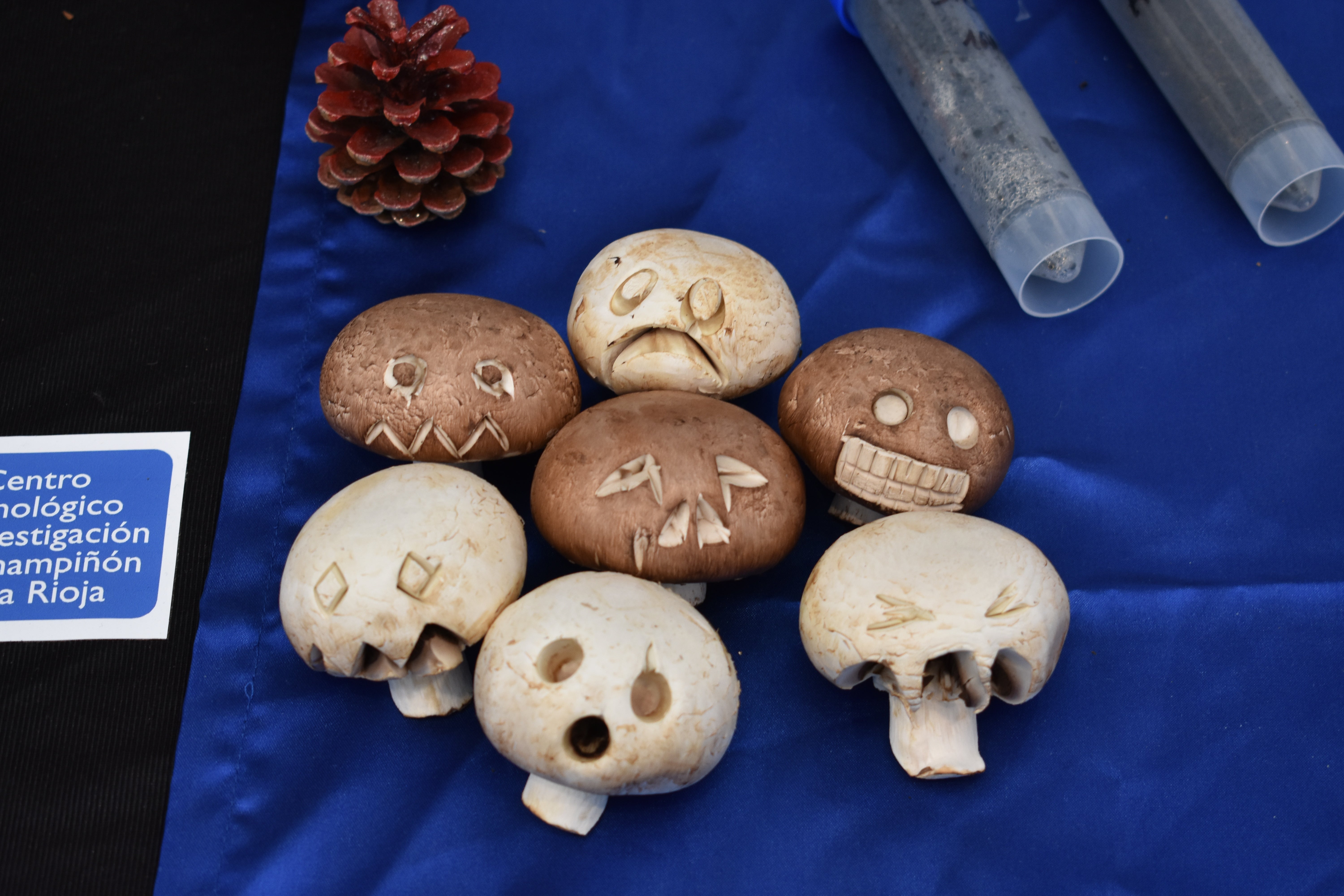 Jornadas de la seta y el champiñón de Autol