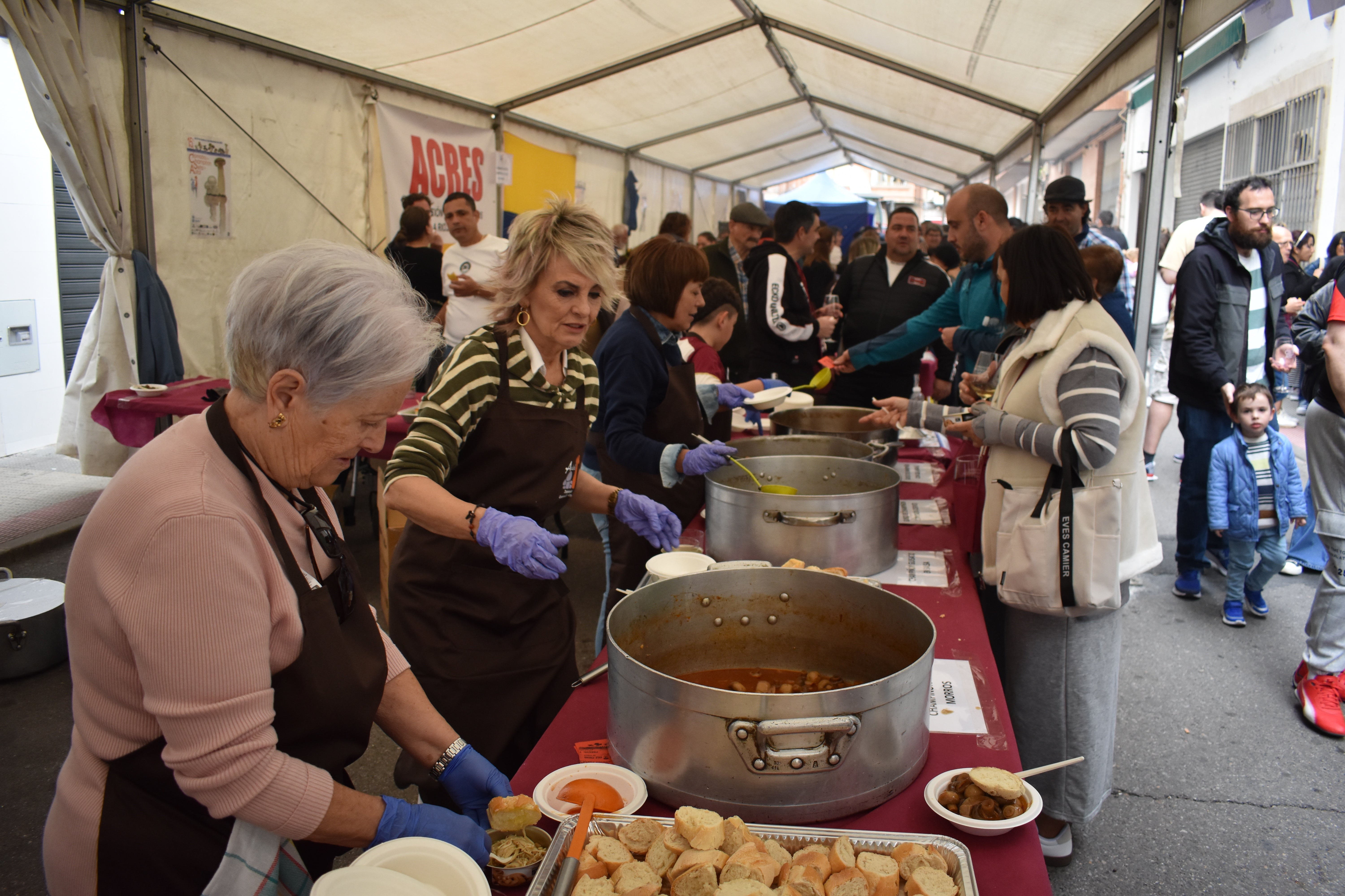 Jornadas de la seta y el champiñón de Autol