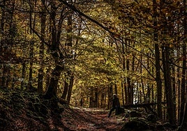 El otoño luce en La Rioja