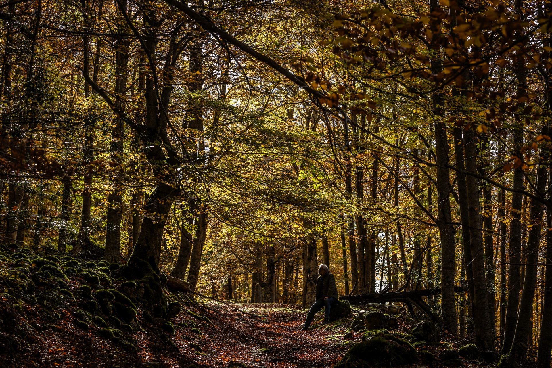 Área recreativa del Achichuelo