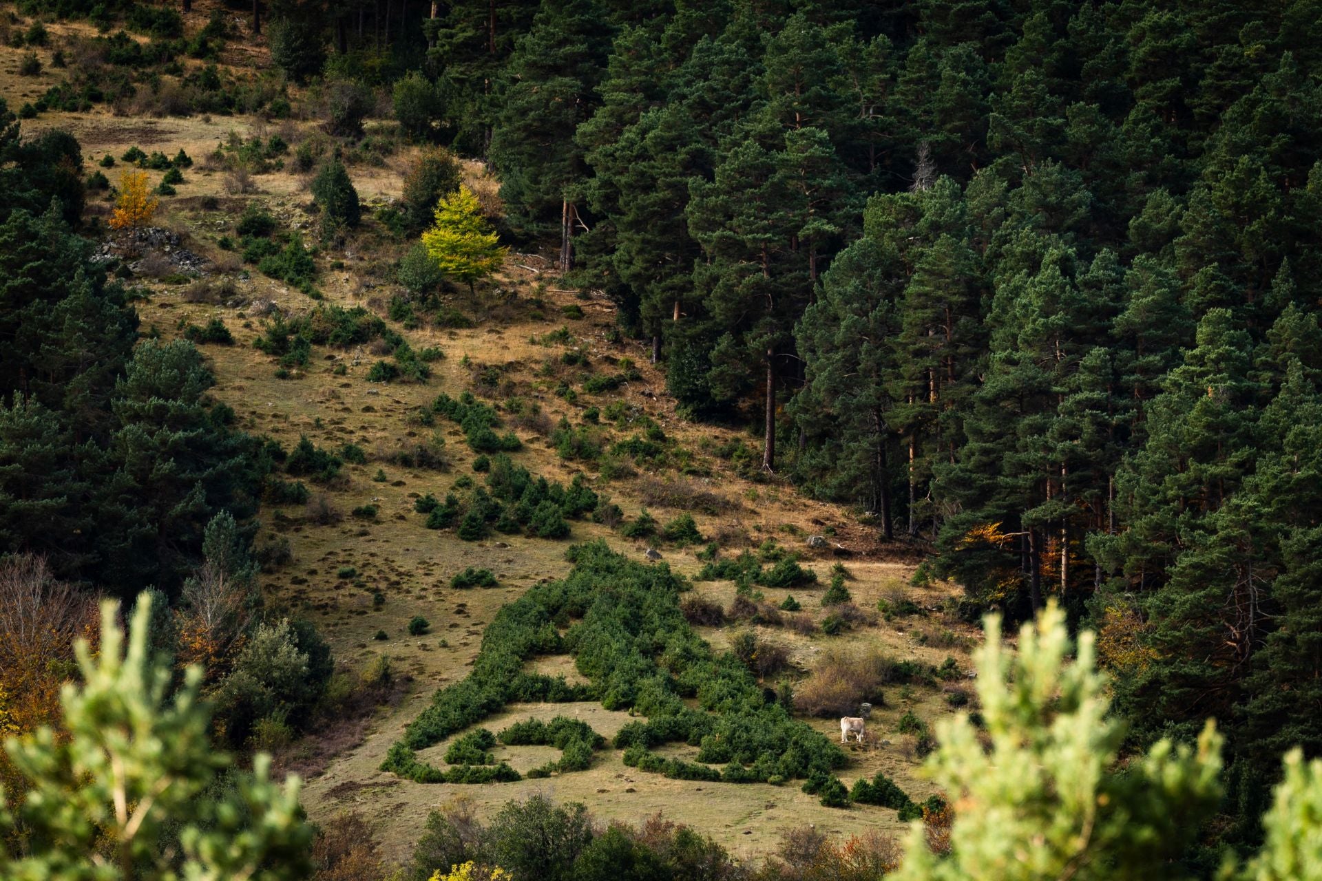 Alrededores de la ermita de la Virgen de Lomos de Orios