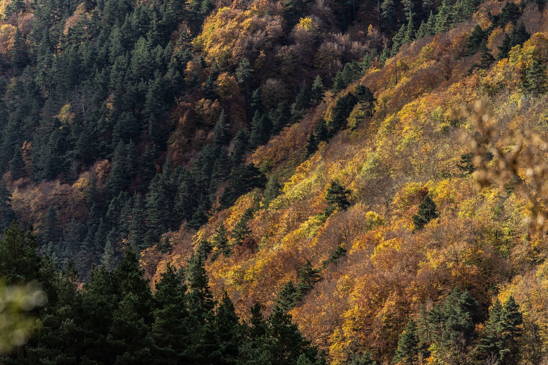 Alrededores de la ermita de la Virgen de Lomos de Orios
