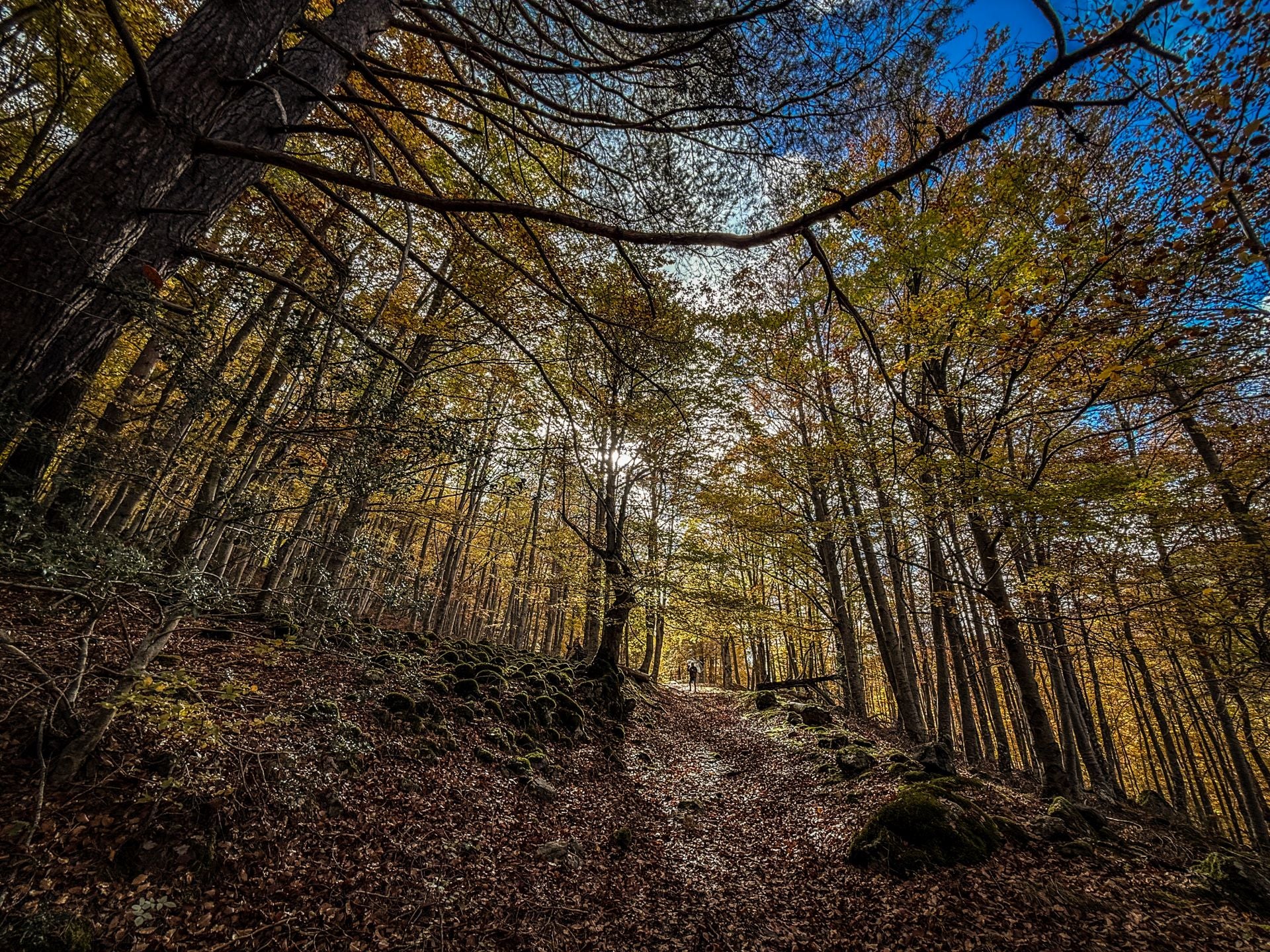 Alrededores de la ermita de la Virgen de Lomos de Orios