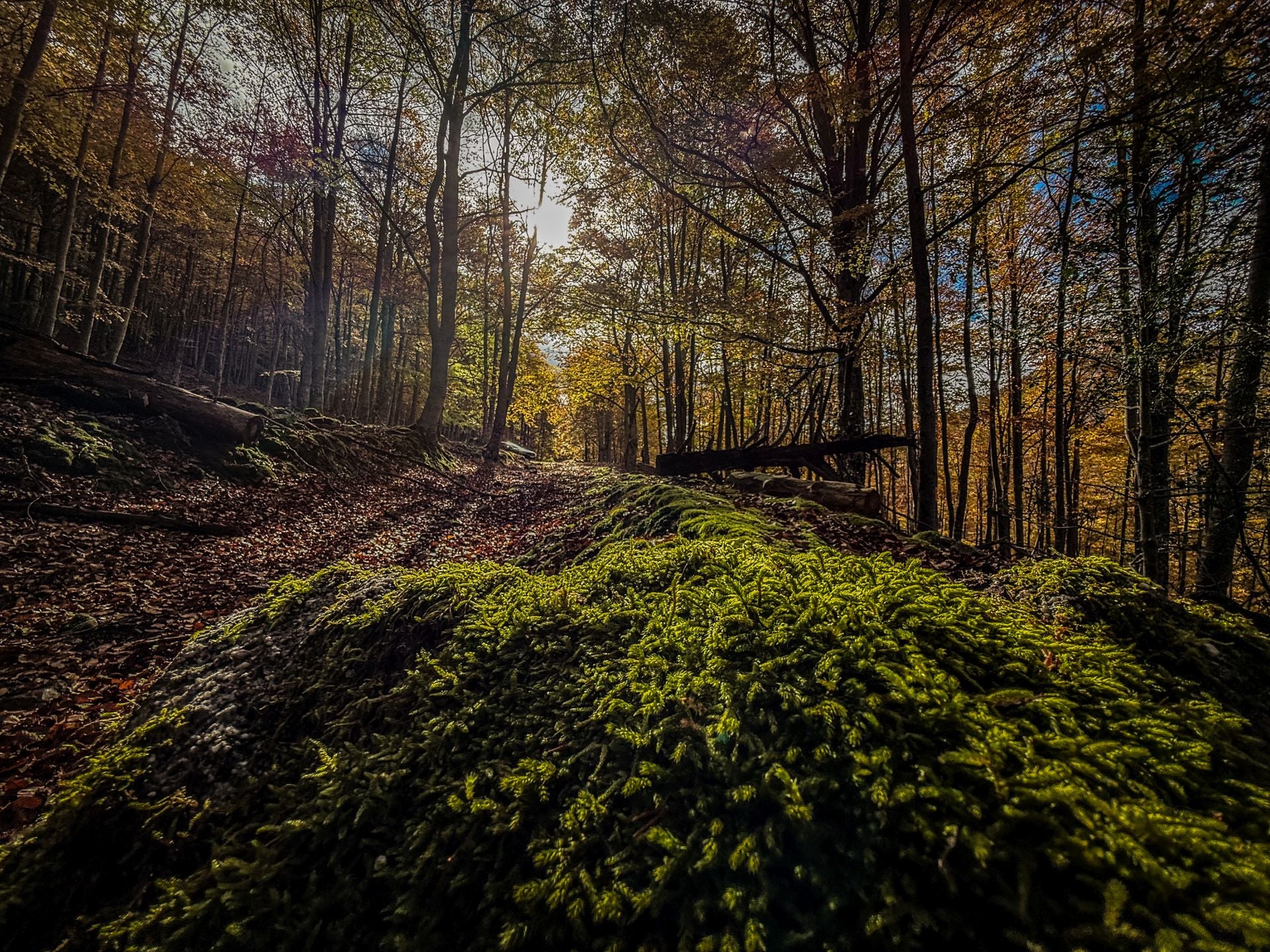 Alrededores de la ermita de la Virgen de Lomos de Orios