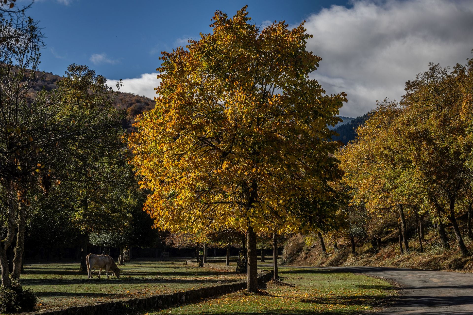 Área recreativa del Achichuelo