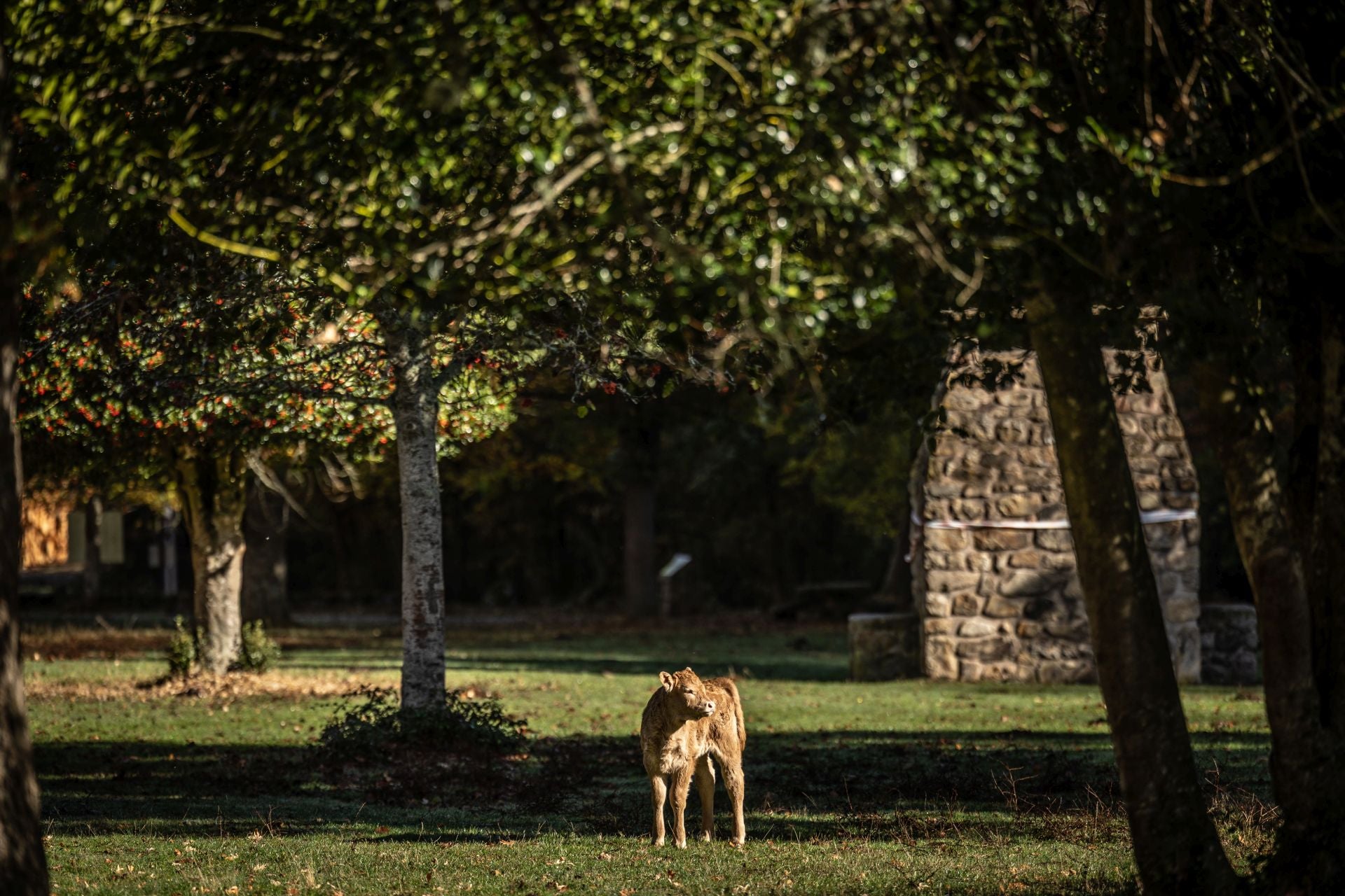 Área recreativa del Achichuelo