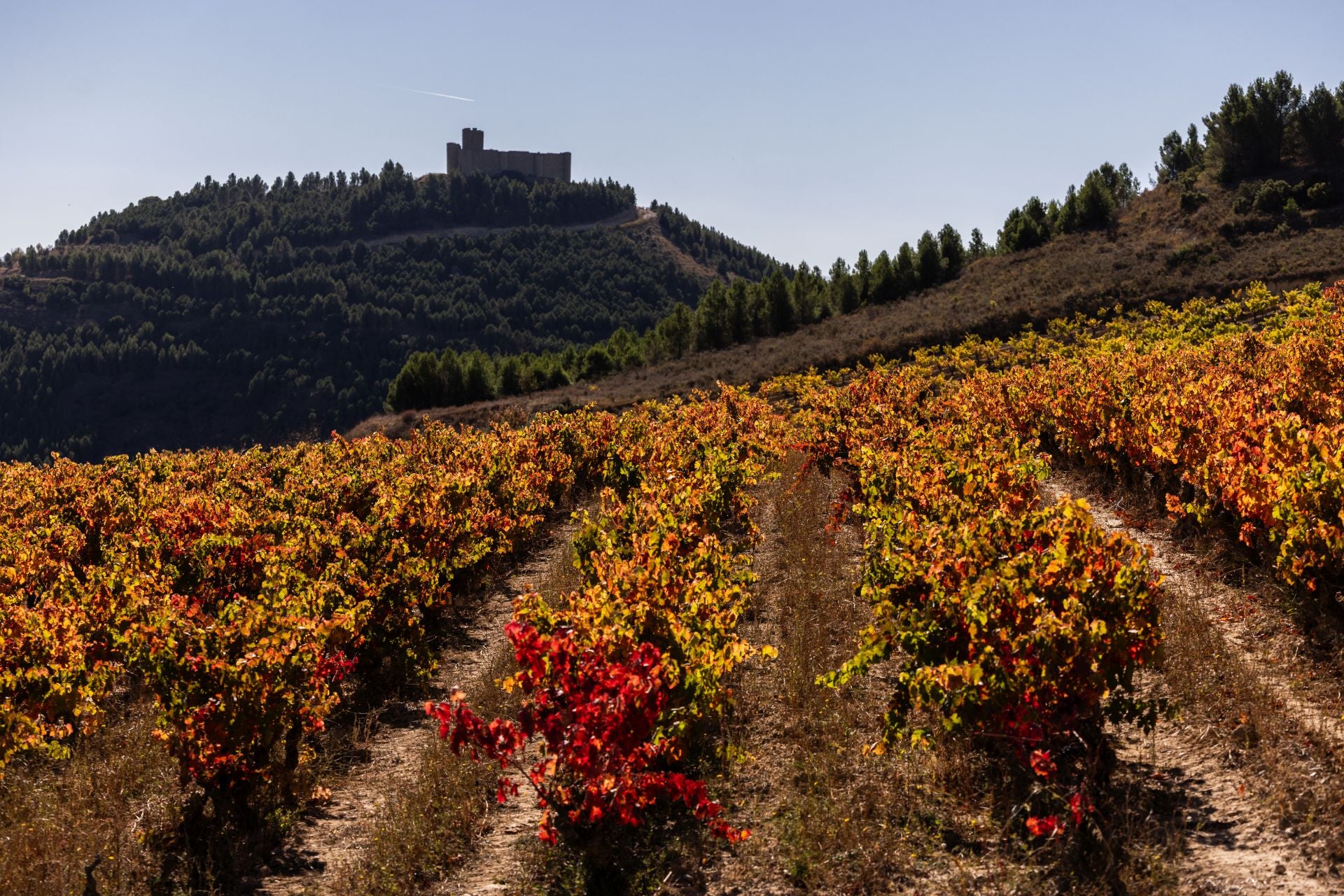 Entorno del castillo de Davalillo, en San Asensio