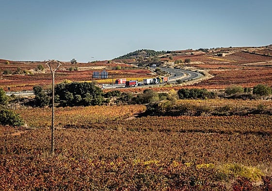 Alternativa 4. La vía iría paralela al trazado de la A-68, entre viñas, como las situadas entre Cenicero y San Asensio.