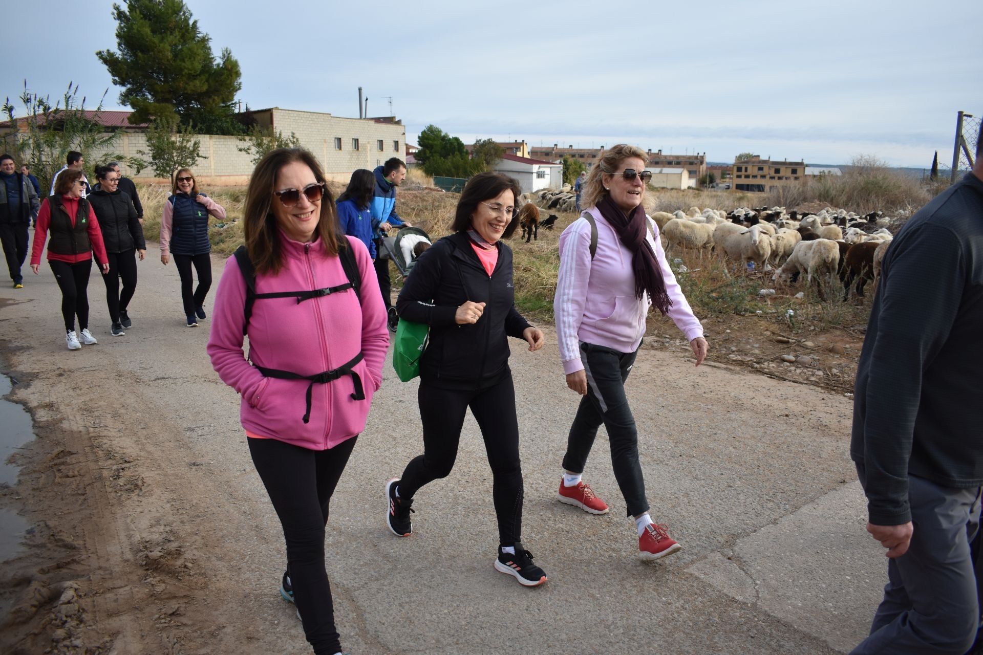 Las imágenes de la marcha contra el cáncer en Aldeanueva