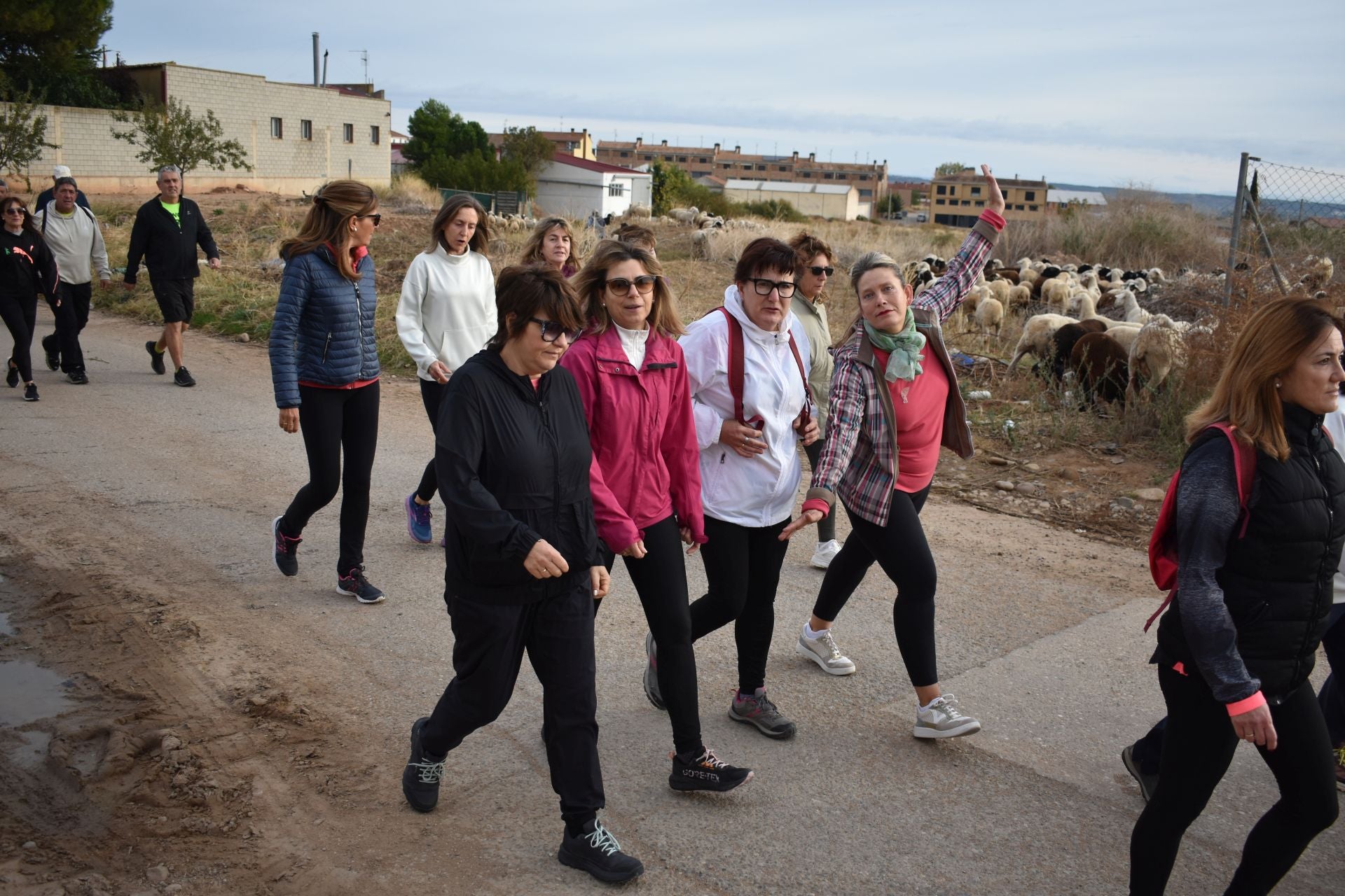 Las imágenes de la marcha contra el cáncer en Aldeanueva