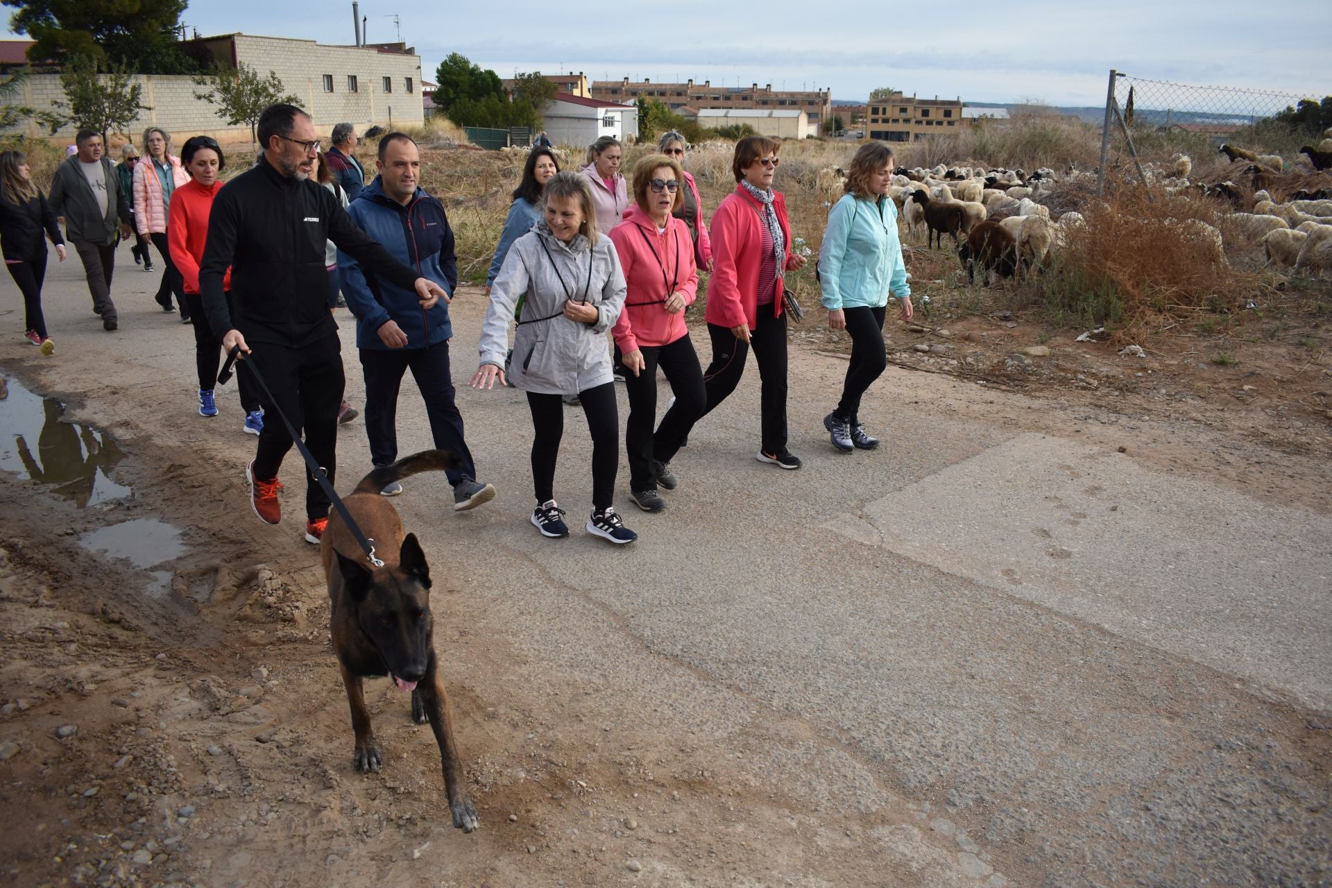 Las imágenes de la marcha contra el cáncer en Aldeanueva