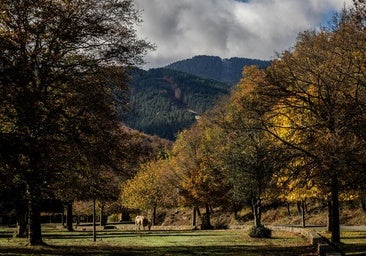 Estos son los lugares recomendados para disfrutar de los colores del otoño