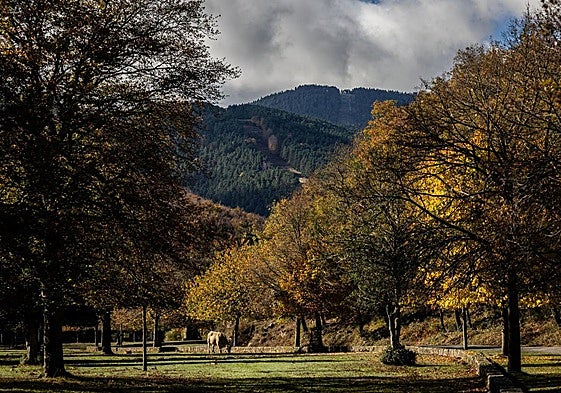 Estos son los lugares recomendados para disfrutar de los colores del otoño
