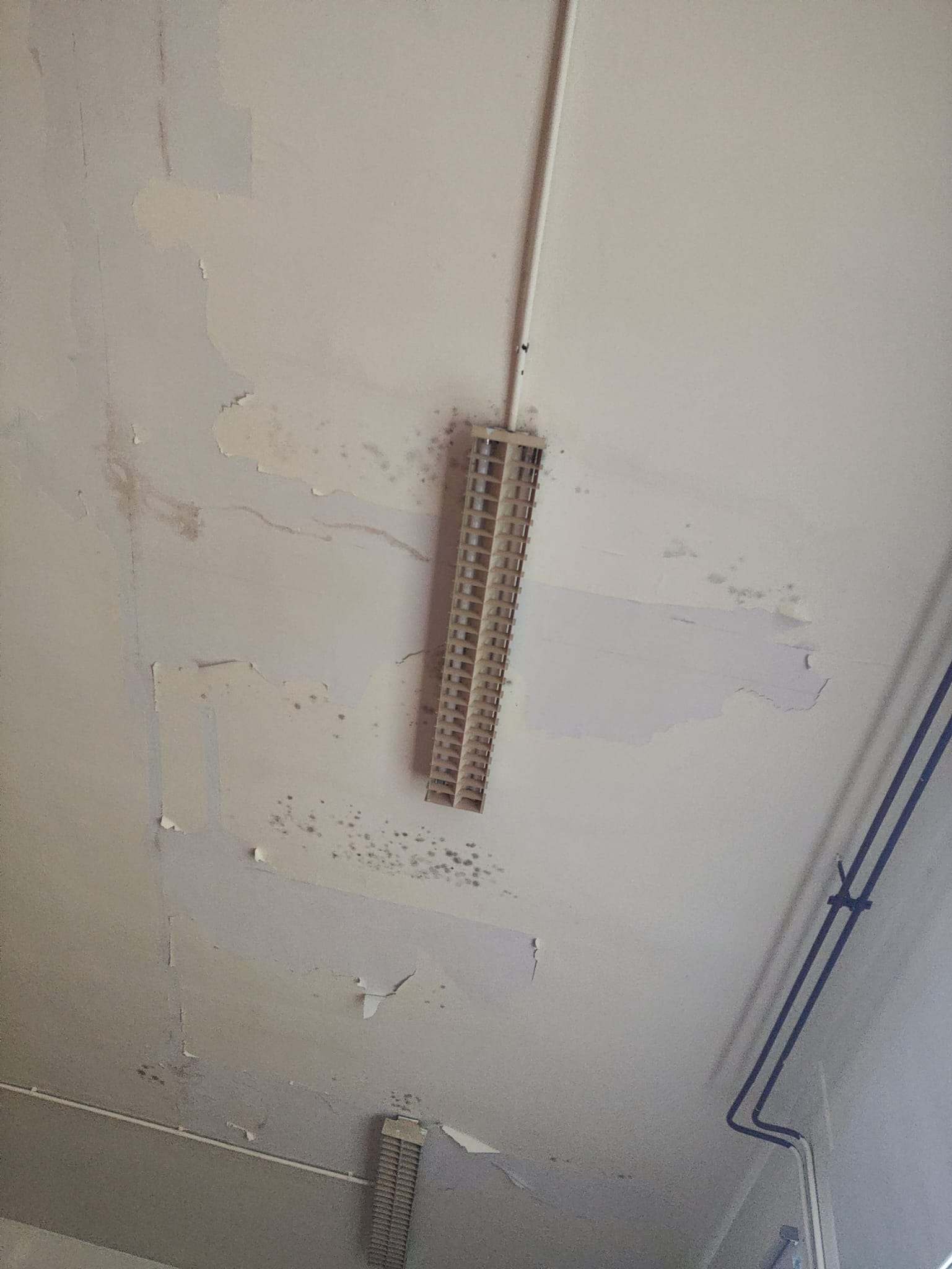 El mal estado del colegio Marqués de Vallejo