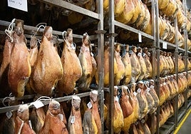 Jamones de Martínez-Somalo.