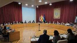 Pleno de Logroño correspondiente al mes de noviembre.
