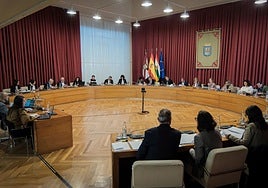 Pleno de Logroño correspondiente al mes de noviembre.