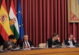 Celia Sanz y Conrado Escobar, a la izquierda, y Miguel Sáinz y Francisco Iglesias, a la derecha, en el pleno de este jueves.