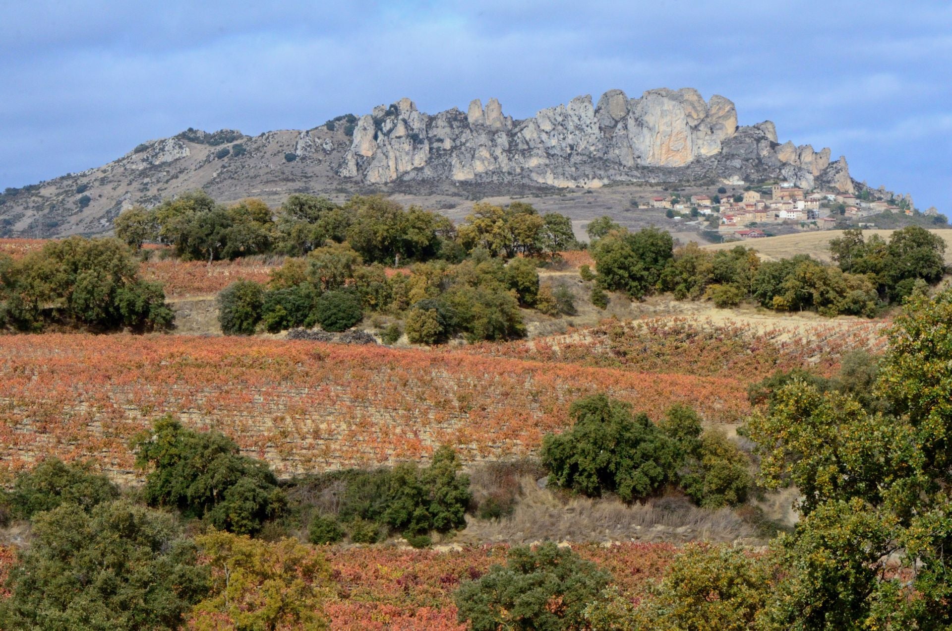 Otoño en el viñedo riojano: abstenerse conductores