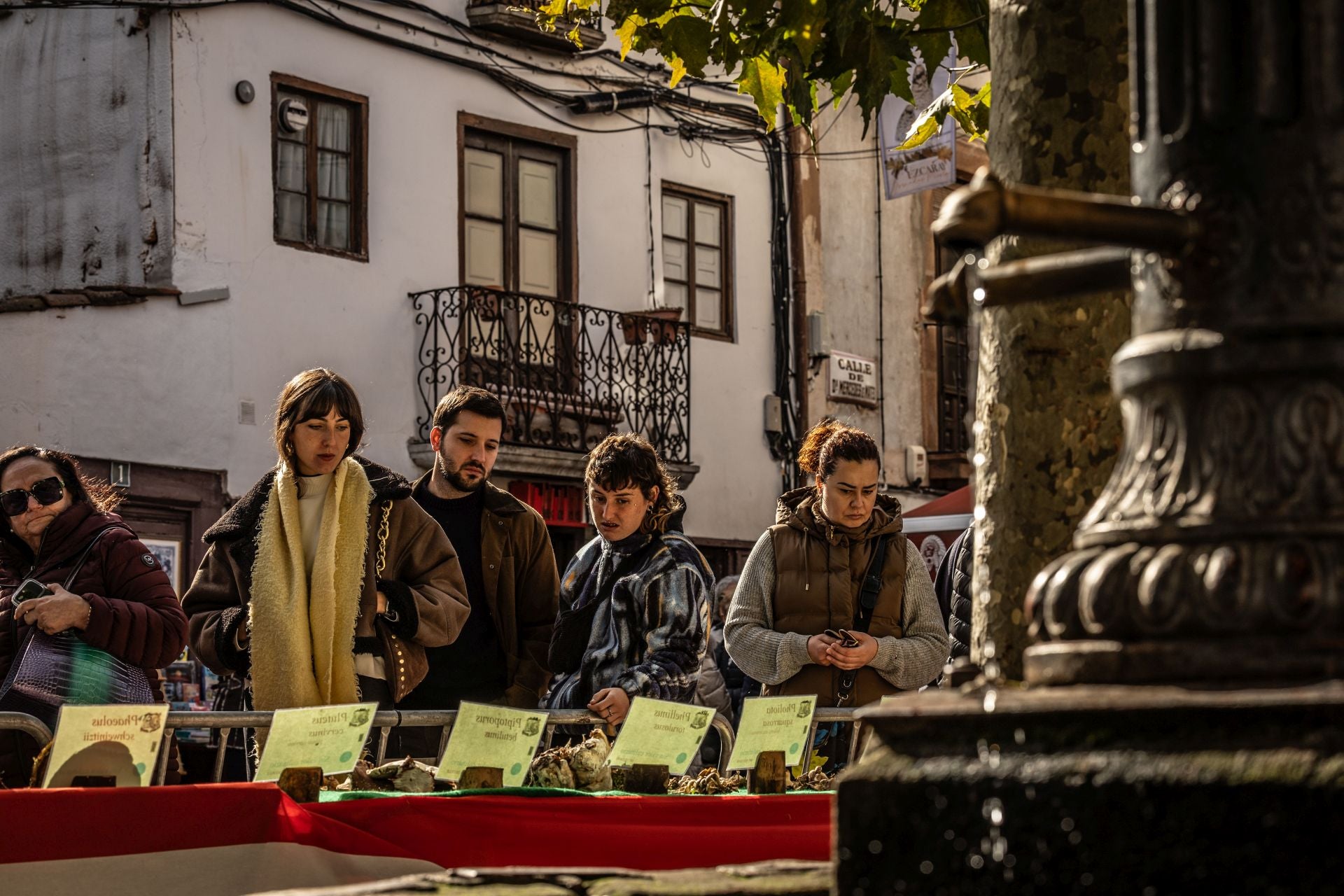 Las imágenes de las Jornadas Micológicas en La Rioja