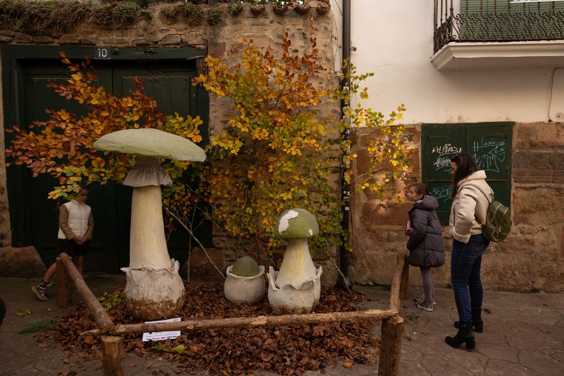 Las imágenes de las Jornadas Micológicas en La Rioja