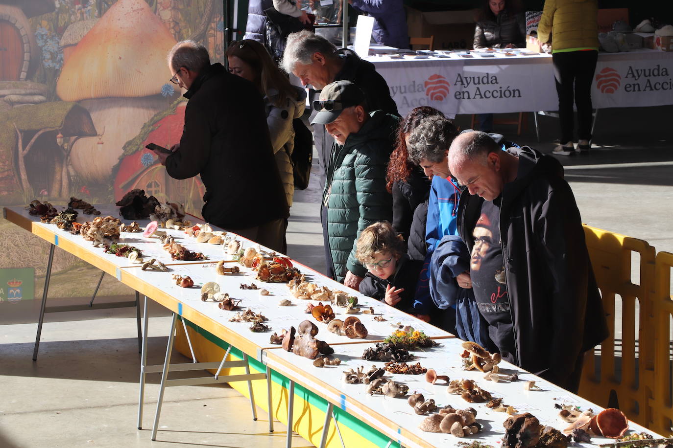 Las imágenes de las Jornadas Micológicas en La Rioja