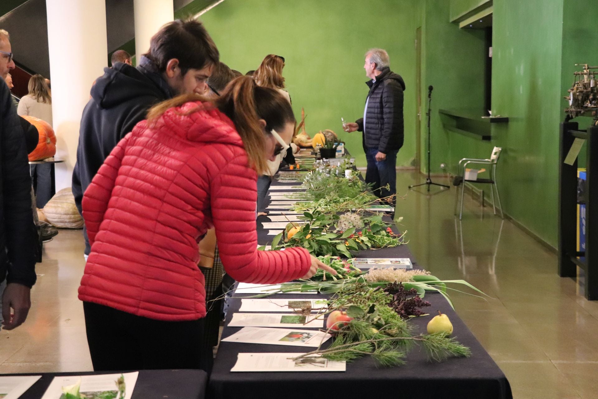 Las imágenes de la Semana de las Ciencias en Arnedo