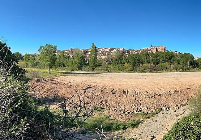 Soto arrasado junto al Cidacos.