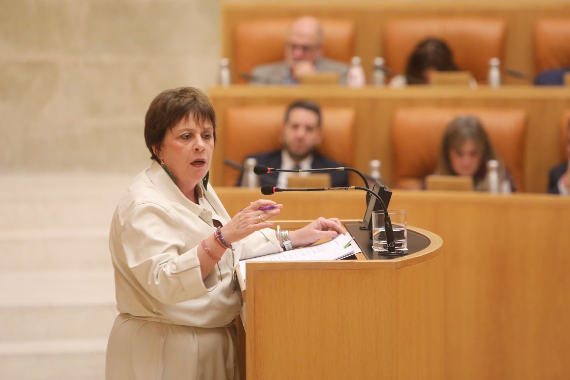 Las imágenes del pleno del Parlamento de La Rioja