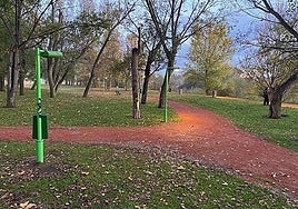 Parque del Cidacos de Calahorra, donde se van a tratar los pinos.