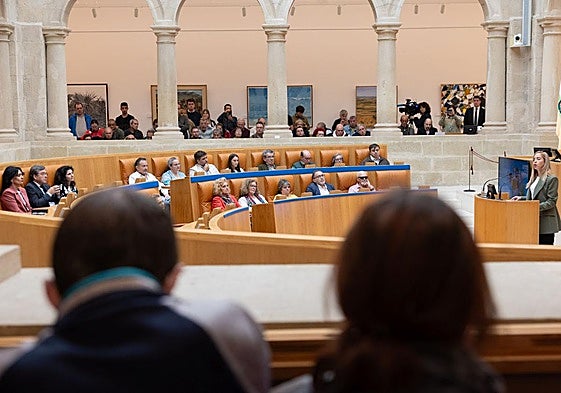 El Parlamento renuncia al alquiler de 33 plazas de aparcamiento para los diputados