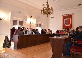 Votación, en el pleno municipal, de la sanción a la empresa promotora del festival Holika.